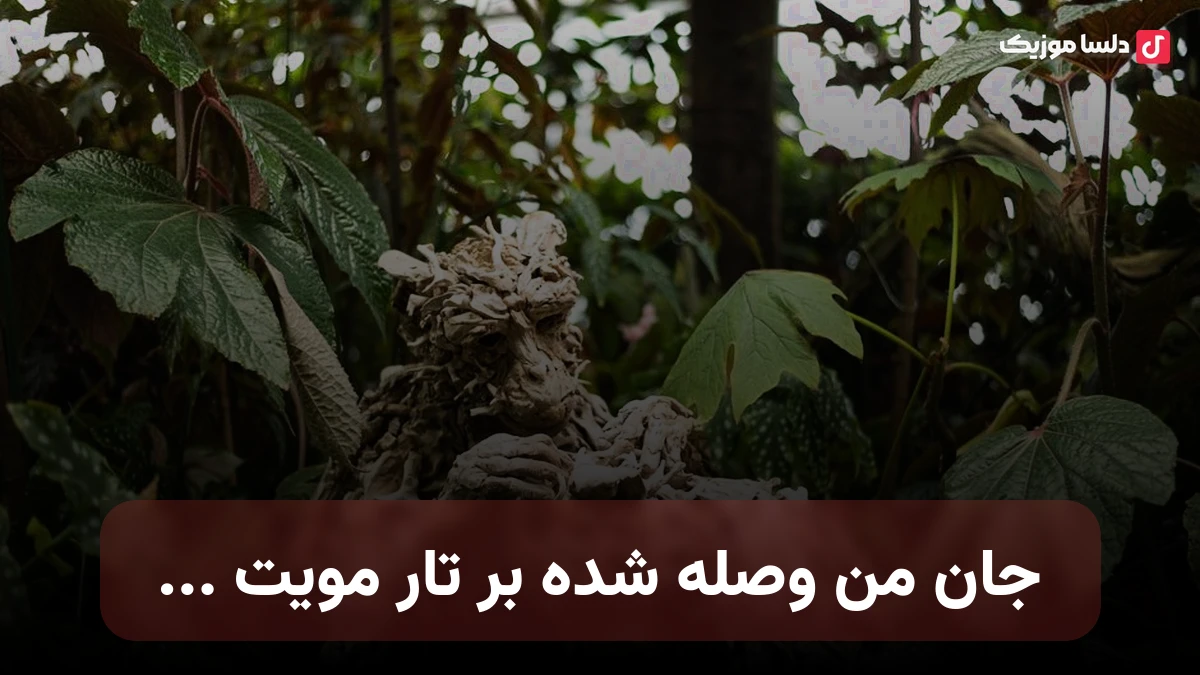 جان من وصله شده بر تار مویت